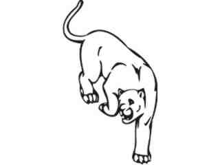  Cougar Animal Wild_ 0 1 6a Decal Proportional