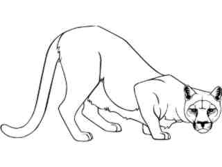  Cougar_ 1 4 5_ V A 1 Decal Proportional