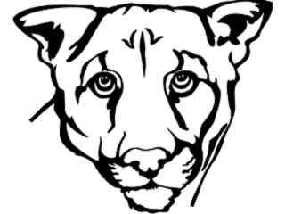  Cougar_ 1 4 6_ V A 1 Decal Proportional