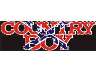  Country Bo Rebel Full_ C L 1_ I N V Decal Proportional