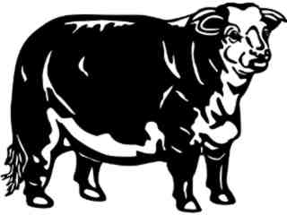  Cows_ Hereford_ 1 3 3_ V A 1 Decal Proportional