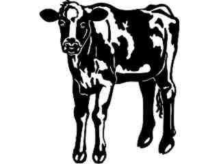  Cows_ Holstein 5_ 1 3 3_ V A 1 Decal Proportional