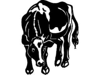  Cows_ Holstein Calf_ 1 3 3_ V A 1 Decal Proportional
