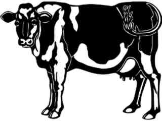  Cows_ Holstein_ 1 3 3_ V A 1 Decal Proportional
