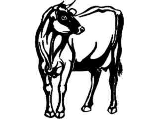  Cows_ Jersey_ 1 3 3_ V A 1 Decal Proportional