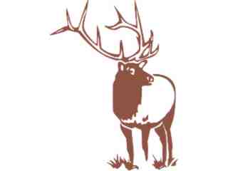  Deer Buck 0 1 Decal Proportional