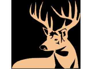  Deer Buck 0 5_ I N V Decal Proportional