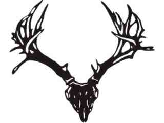  Deer Skull 2 Decal Proportional