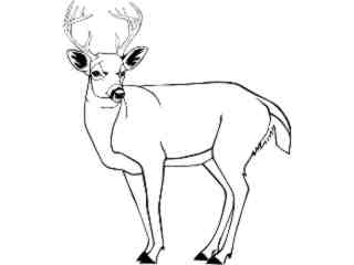  Deer_ 1 4 5_ V A 1 Decal Proportional