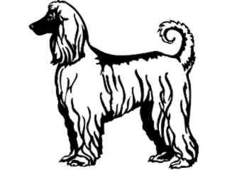  Dogs_ Afghan Hound_ 1 3 6_ V A 1 Decal Proportional