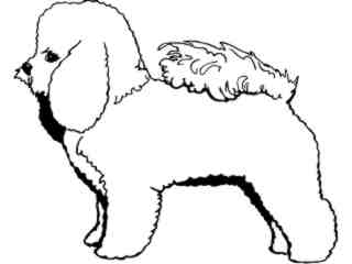  Dogs_ Bichon Frise_ 1 3 7_ V A 1 Decal Proportional
