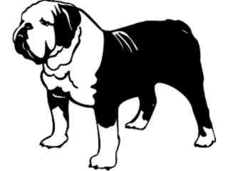  Dogs_ English Bulldog_ 1 3 6_ V A 1 Decal Proportional