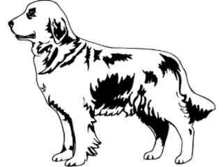  Dogs_ Golden Retriever_ 1 3 7_ V A 1 Decal Proportional