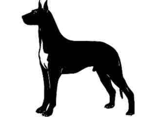  Dogs_ Great Dane_ 1 3 6_ V A 1 Decal Proportional