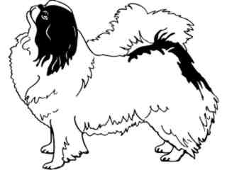  Dogs_ Japenese Chin_ 1 3 7_ V A 1 Decal Proportional