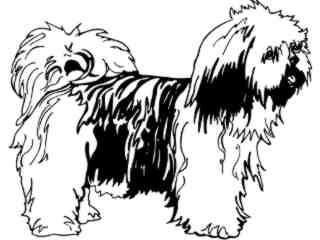  Dogs_ Llaso Apso_ 1 3 7_ V A 1 Decal Proportional