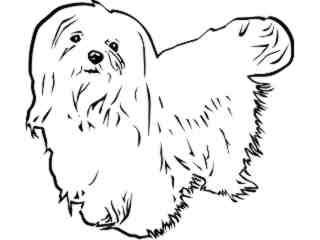  Dogs_ Maltese 0 1 D R_ P A 1 Decal Proportional