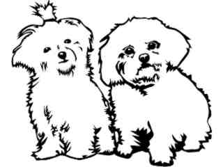  Dogs_ Maltese 0 2 D R_ P A 1 Decal Proportional