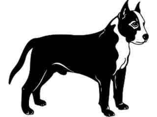  Dogs_ Staffordshire Bull Terrier_ 1 3 7_ V A 1 Decal Proportional