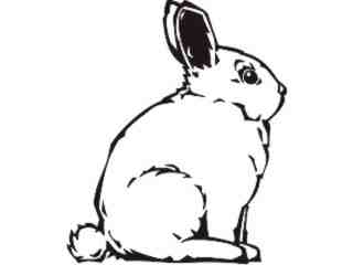  Domestic Animals_ Bunny_ P A 1 Decal Proportional