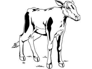  Domestic Animals_ Calf T G_ P A 1 Decal Proportional