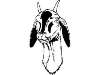  Domestic Animals_ Goat Face T G_ P A 1 Decal Proportional