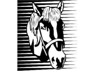  Domestic Animals_ Horse 0 1 D R_ P A 1 Decal Proportional