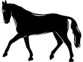  Domestic Animals_ Horse 0 2_ P A 1 Decal Proportional