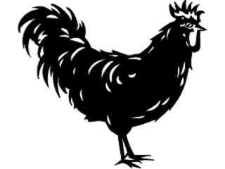  Domestic Animals_ Rooster_ P A 1 Decal Proportional