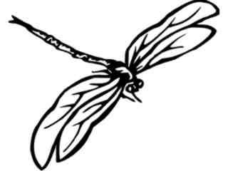  Dragonfly 2 Decal Proportional