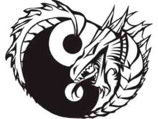  Dragons 0 3 1_ 3 D G Decal Proportional