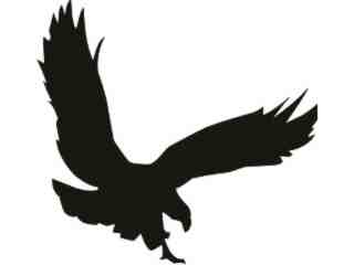  Eagle 0 8 Decal Proportional