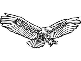  Eagle Bald Coming Down Fly_ D T L Decal Proportional