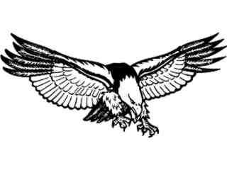  Eagle Bald Coming Down For Prey_ D T L Decal Proportional