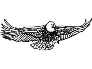  Eagle Bald Coming Down Landing_ D T L Decal Proportional