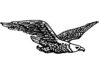  Eagle Bald Flying Decal Proportional
