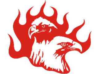  Eagle Body Flaming_ 0 5_ E F 1 Decal Proportional