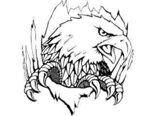  Eagle Claw Out_ M B 1_ D T L Decal Proportional