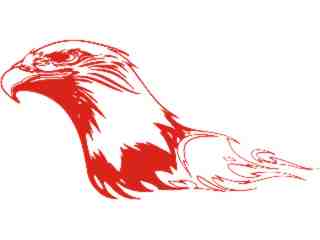  Eagle Flame Head_ 1 6_ E F 1 Decal Proportional