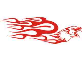  Eagle Hawk Flame 0 1_ A F 1 Decal Proportional