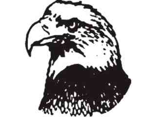  Eagle Head 1 Decal Proportional