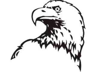  Eagle Head 4 Decal Proportional