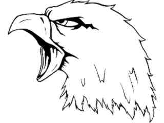  Eagle Head 5_ M B 1 Decal Proportional