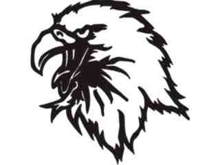  Eagle Head 6 Decal Proportional