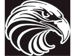  Eagle Head 7_ I N V Decal Proportional