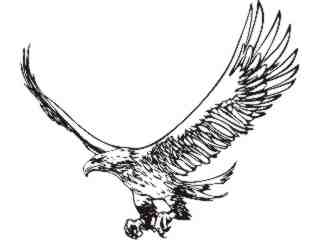  Eagle_ 0 0_ E F 1_ D T L Decal Proportional