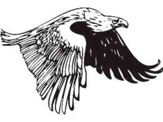  Eagle_ 0 1_ E F 1_ D T L Decal Proportional