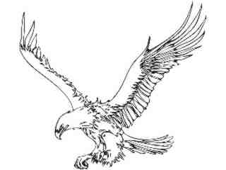  Eagle_ 0 5_ E F 1_ D T L Decal Proportional