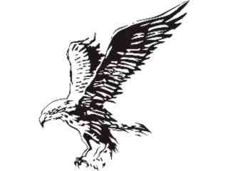  Eagle_ 0 9_ E F 1_ D T L Decal Proportional