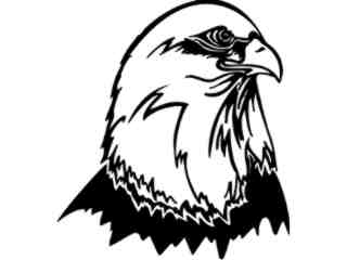  Eagle_ 1 3 8_ V A 1 Decal Proportional